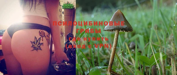 spice Саяногорск