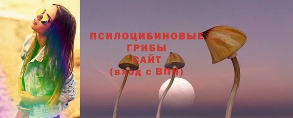 spice Саяногорск