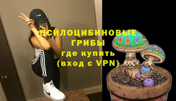 мяу мяу мука Сатка