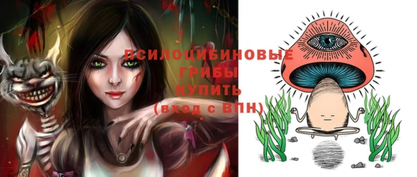 spice Саяногорск