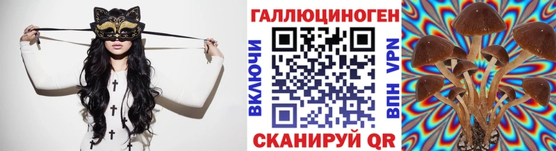 kraken онион  Иркутск  Псилоцибиновые грибы MAGIC MUSHROOMS  где найти  