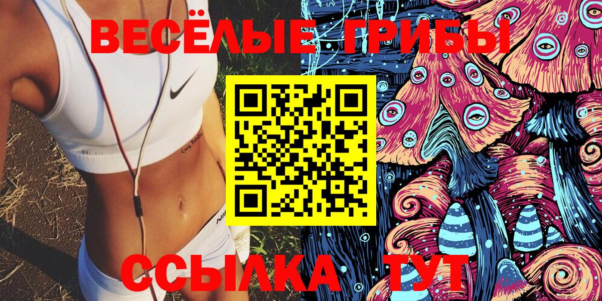 Псилоцибиновые грибы прущие грибы  Псилоцибиновые грибы прущие грибы  закладка  Вход с VPN  Россия 