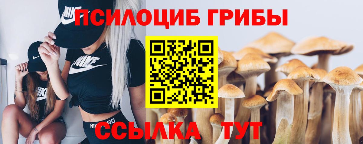 Псилоцибиновые грибы MAGIC MUSHROOMS Россия