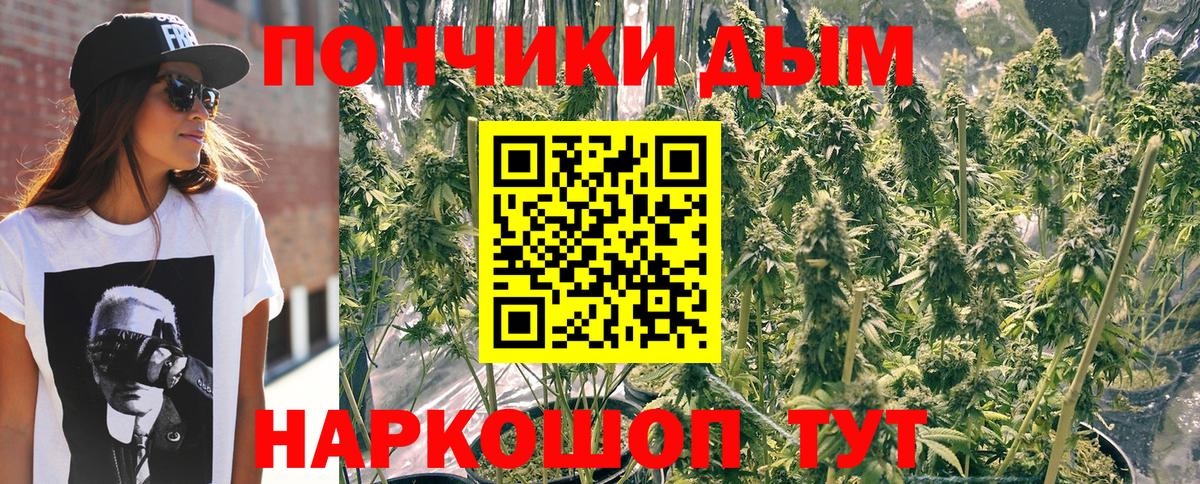 Канабис планчик Россия